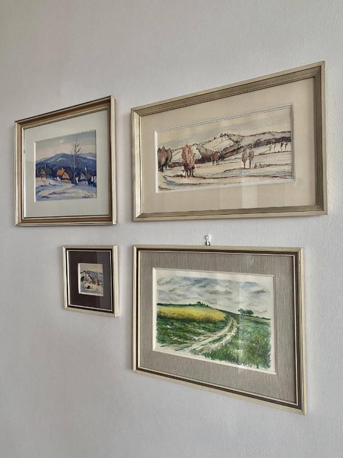 Prazdninovy Dum Holubka Villa Nove Mesto na Morave Dış mekan fotoğraf